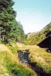 Fairy Knowe Trail