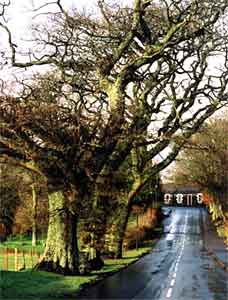 Enjoy the scenery but watch the traffic